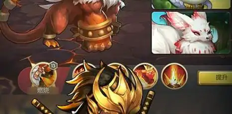 异域战将 异域战将的介绍